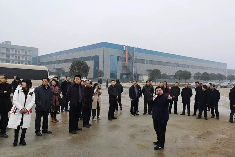 隨州市委、市人大代表團蒞臨程力集團商用車產
